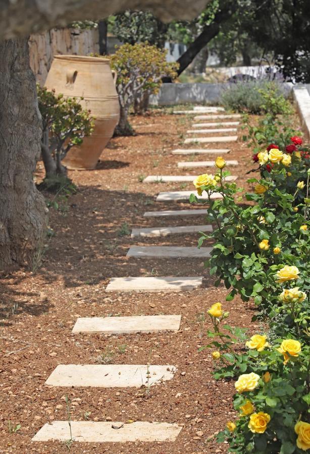 Amvikas Suites-Sitia エクステリア 写真